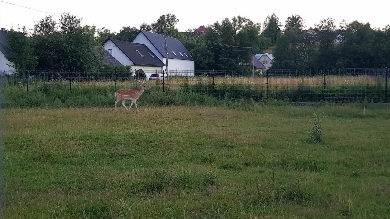 Ranczo Pod Babia Gora Appartement Lipnica Wielka Buitenkant foto